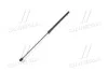 <strong>Амортизатор Hyundai/Kia/Mobis 811613L001 (фото 4)</strong>