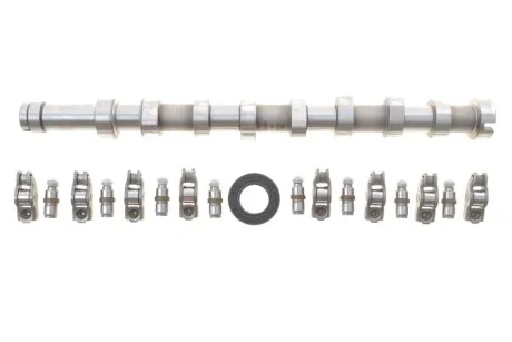 Комплект валу розподільчого з рокерами та компенсаторами FORD/PSA 1.5/1.6 TDCi DV6 (вир-во) для INA 428 0056 30 фото товару