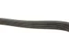 <strong>Роликовий модуль натягувача ременя (ролик, ремінь) INA 529 0016 10 (фото 2)</strong>