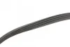 <strong>Комплект поліклиновий (ремінь+ролики) INA 529 0100 10 (фото 3)</strong>