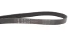 <strong>Водяний насос+ комплект поліклинових ременів INA 529 0312 30 (фото 13)</strong>