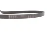 <strong>Водяний насос+ комплект поліклинових ременів INA 529 0336 30 (фото 10)</strong>