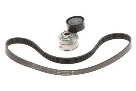 Комплект поліклиновий (ремінь+ролики) для Volkswagen, Seat, Audi, Skoda, Alfa Romeo INA 529 0419 10 фото товару