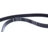 <strong>Комплект поліклиновий (ремінь+ролики) INA 529 0485 10 (фото 7)</strong>