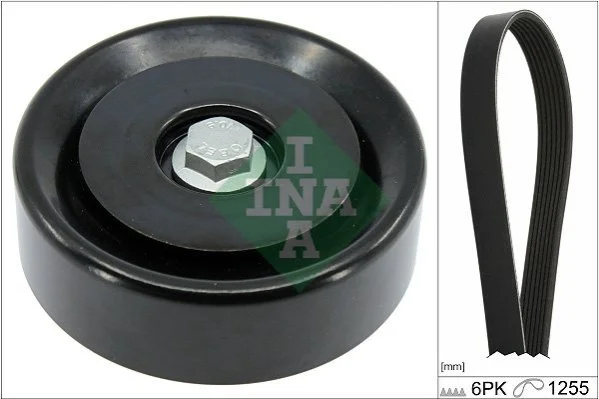 <strong>Комплект поліклиновий (ремінь+ролики) INA 529 0496 10 (фото 1)</strong>