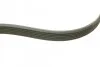 <strong>Комплект поліклиновий (ремінь+ролики) INA 529 0503 10 (фото 10)</strong>