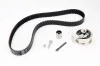 Комплект (ремінь+ролики) для Seat, Volkswagen, Audi, Skoda INA 530 0091 10 фото товару