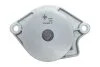 <strong>Комплект ременя ГРМ з помпою води INA 530 0360 30 (фото 5)</strong>
