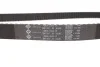 <strong>Роликовий модуль натягувача ременя (ролик, ремінь) INA 530 0364 10 (фото 10)</strong>