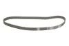 <strong>Роликовий модуль натягувача ременя (ролик, ремінь) INA 530 0369 10 (фото 2)</strong>