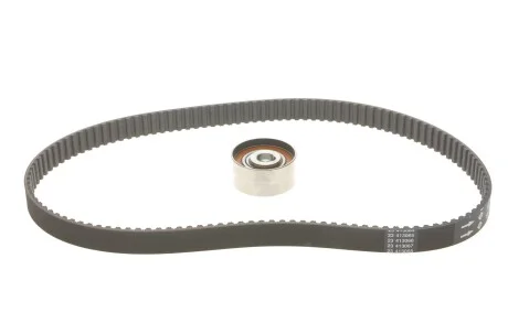 Комплект ременя ГРМ для Fiat INA 530 0564 10 фото товару