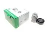 <strong>Роликовий модуль натягувача ременя INA 534 0029 10 (фото 1)</strong>