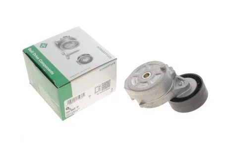 Натягувач поліклінового ременя для Land Rover, Citroen, Ford, Peugeot, Fiat INA 534006810 фото товару