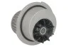 Насос водяний для Opel, Vauxhall, Chevrolet INA 538 0024 10 фото товару