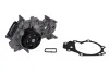 Водяний насос для Renault, Nissan, Dacia INA 538 0046 10 фото товару