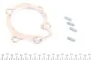 <strong>Насос водяний INA 538 0315 10 (фото 2)</strong>