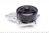 <strong>Водяний насос HONDA 19200-RBD-E01 (Вир-во) INA 538 0617 10 (фото 3)</strong>
