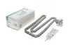 <strong>Комплект ланцюга з натягувачем FORD/PSA Transit 2,2 TDCI P22DTI 04.2006- 122 ланки (вир-во) INA 559 1813 10 (фото 2)</strong>