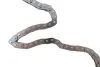 <strong>Комплект ланцюга з натягувачем FORD/PSA Transit 2,2 TDCI P22DTI 04.2006- 122 ланки (вир-во) INA 559 1813 10 (фото 6)</strong>