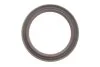 <strong>Комплект ланцюга приводу розподільного валу FIAT/OPEL 1.3JTD 188A8/188A9/199B1/A13DTE/Z13DTH 2003- (INA 559 1817 40 (фото 4)</strong>