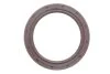 <strong>Комплект ланцюга приводу розподільного валу FIAT/OPEL 1.3JTD 188A8/188A9/199B1/A13DTE/Z13DTH 2003- (INA 559 1817 40 (фото 5)</strong>