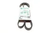 <strong>Ремінь генератора поліклиновий INA FB 7PK2005 (фото 1)</strong>