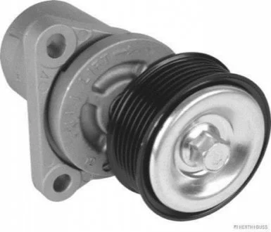 Роликовый модуль натяжителя ремня для Mazda JAKOPARTS J1143062 фото товара