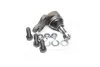 <strong>Опора кульова передня ліва Nissan (вир-во Jakoparts) HERTH + BUSS JAKOPARTS J4861038 (фото 1)</strong>