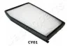 <strong>CHERY Фильтр салона Eastar 1.8/2.4 06- JAPANPARTS FAA-CY01 (фото 1)</strong>
