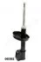 <strong>RENAULT Амортизатор газ.передн.Clio II 58mm JAPANPARTS MM-00392 (фото 1)</strong>