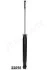 <strong>TOYOTA Амортизатор задн. газ. Previa 00- JAPANPARTS MM-22056 (фото 1)</strong>