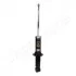 <strong>JEEP Амортизатор газ.задн.Patriot,Compass,Dodge Caliber 06- JAPANPARTS MM-90031 (фото 1)</strong>