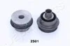 <strong>С-блок рычага LEXUS GS,IS -13 JAPANPARTS RU-2501 (фото 1)</strong>