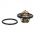 <strong>FORD Термостат с прокладкой t-82C Fiesta V 01-, Focus || 04-, Mazda 2 03- JAPANPARTS VT-316 (фото 1)</strong>
