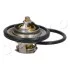 <strong>Термостат Ford Fiesta IV/Focus 1.4/1.6i 16V 97-12 (82 C)/ Mazda 3 JAPKO 38316 (фото 2)</strong>