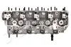 <strong>Головка блоку циліндрів Pajero/L200/Hyundai H-1/Terracan 2.5D/TD 90-07 JAPKO JMI021S (фото 5)</strong>