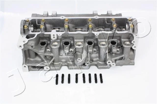 <strong>Головка блоку циліндрів (ГБЦ) Renault Logan (05-12), Kangoo (01-), Megane II (03-) K9K 7xx 1.5 Dci JAPKO JNS013S (фото 1)</strong>