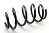 <strong>Пружина перед. QASHQAI / QASHQAI+2 2.0DCI 07- JAPKO ZCJ2872H (фото 1)</strong>