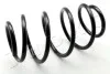 <strong>Пружина передня Nissan Qashqai / Qashqai+2 (J10, JJ10) 1.5 dCi, 2.0 (06-13) (кр JAPKO ZCJ3938H (фото 1)</strong>