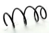 <strong>Пружина передня Renault Clio 1.5 dCi 12-21 (348х153х12 мм) JAPKO ZCJ4117A (фото 1)</strong>