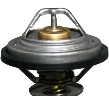Термостат LT/T4 2.4D/TD для Mercedes, Jaguar, SsangYong JP GROUP 1114601500 фото товару