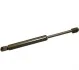 <strong>Амортизатор багажника A4/A6 -05(298/95mm 650N) JP GROUP 1181202600 (фото 1)</strong>