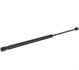 <strong>Амортизатор багажника Skoda Felicia 94-01 JP GROUP 1181203100 (фото 1)</strong>