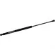 <strong>Амортизатор багажника Audi A3 (8P) JP GROUP 1181205100 (фото 1)</strong>