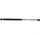 <strong>Амортизатор багажника Audi A8 (D2) JP GROUP 1181207500 (фото 1)</strong>