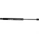 <strong>Амортизатор багажника VW Golf VI 08-12 JP GROUP 1181208700 (фото 1)</strong>