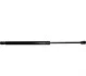 <strong>Амортизатор багажника VW Golf Plus 05-14/Kia Carens 13- JP GROUP 1181209000 (фото 1)</strong>