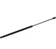 <strong>Амортизатор багажника Vectra C 02-09 (570/210mm 570N) JP GROUP 1281202100 (фото 1)</strong>