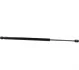 <strong>Амортизатор багажника Opel Meriva 03- JP GROUP 1281202400 (фото 1)</strong>