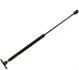 <strong>Амортизатор капота Omega B -03 (515/205mm/240N) JP GROUP 1281202500 (фото 1)</strong>